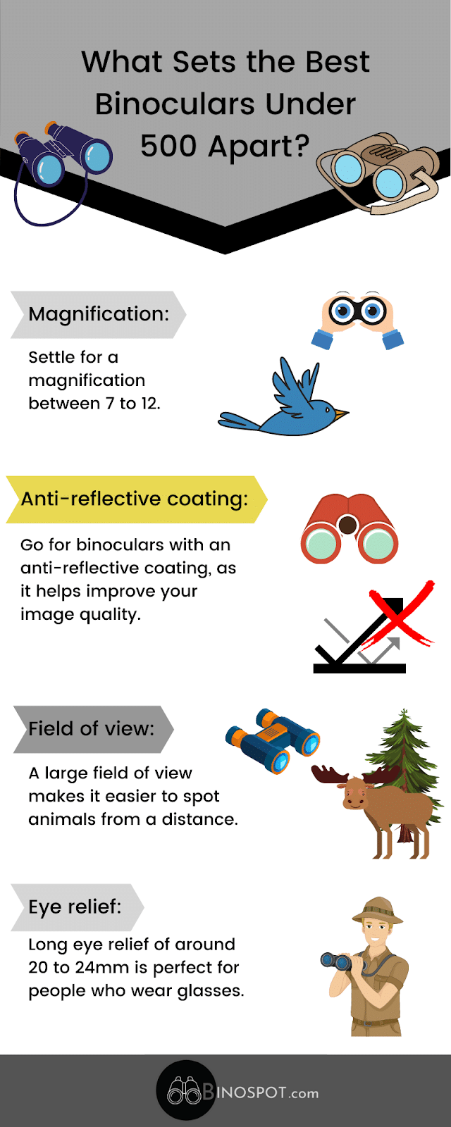 Best Binoculars Under 500 infographic
 