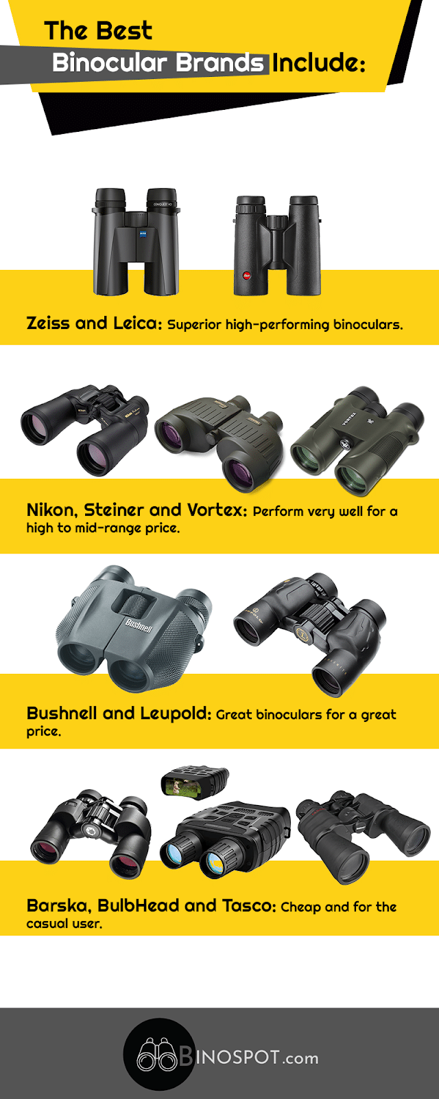 Best Binoculars by Brand infographic