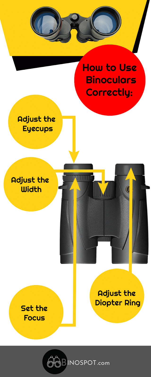 How Do Binoculars Work? infographic