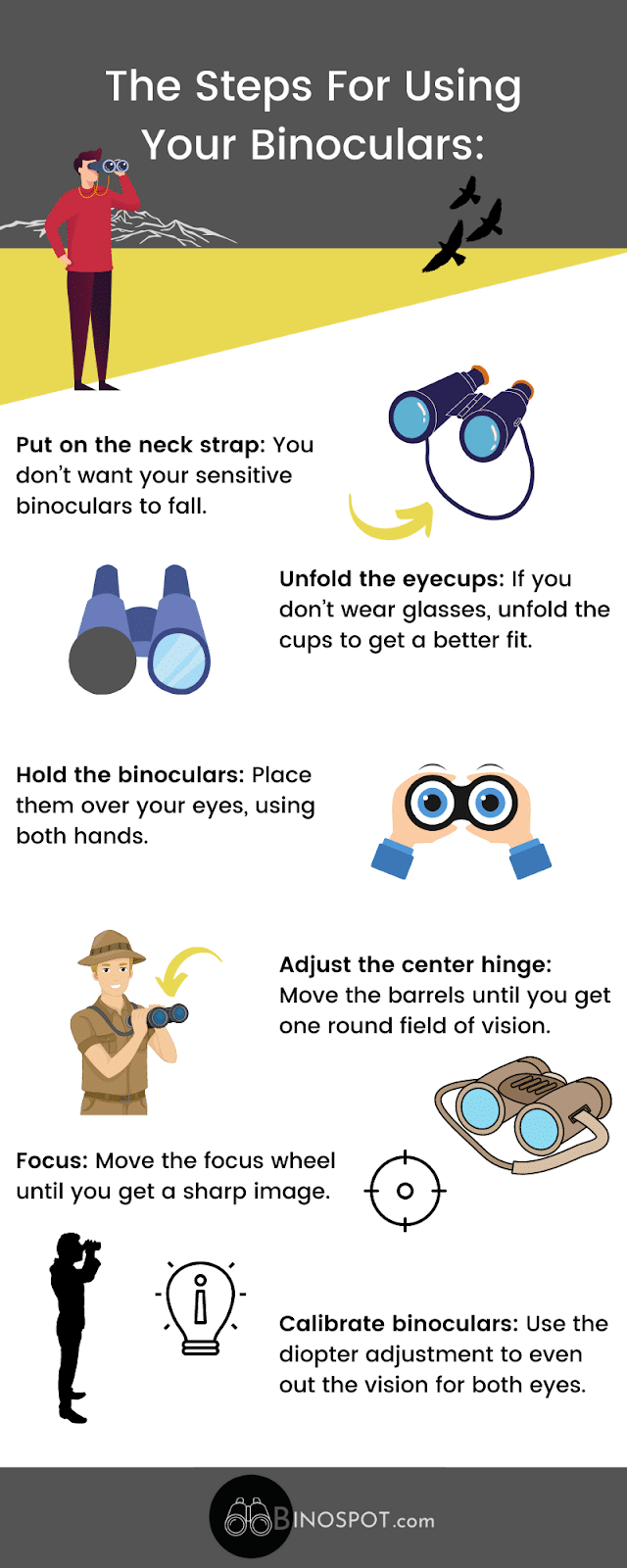 How To Use Binoculars: infographic