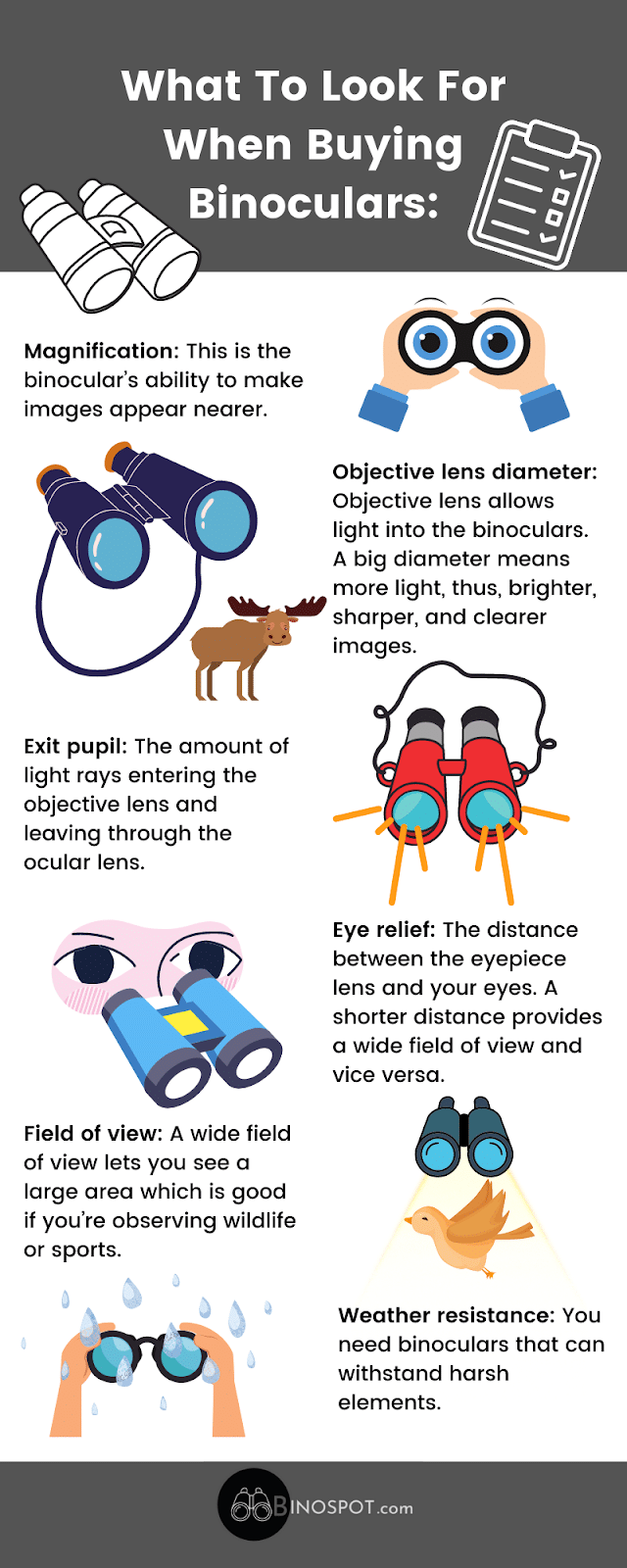 Binoculars Buying Guide infographic