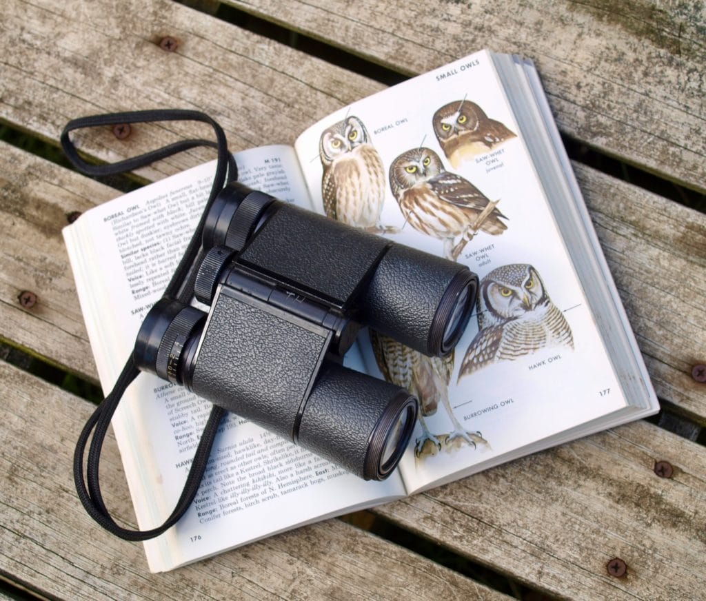 Binoculars lying on open bird identification book