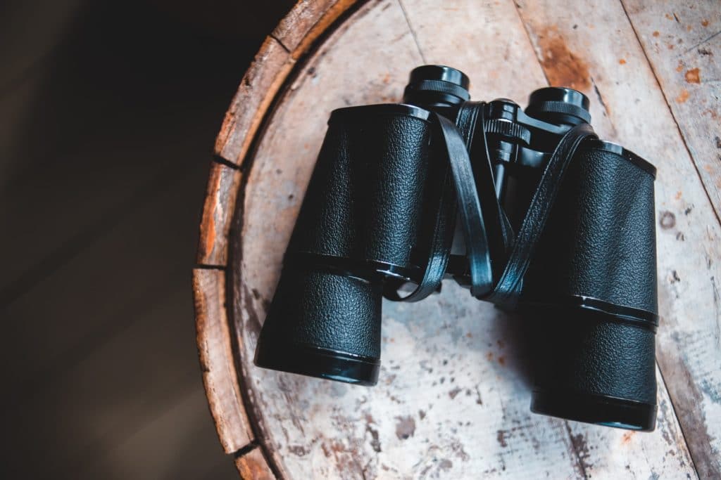 The Best Binoculars Under 100 Dollars in 2021
