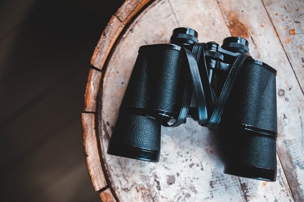 binoculars for Safari